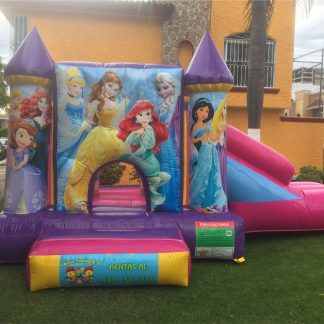 castillo princesas muro al frente